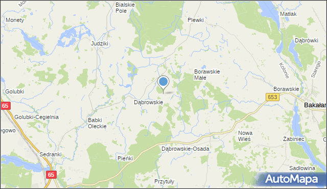 mapa Kolonie Dąbrowskie, Kolonie Dąbrowskie na mapie Targeo